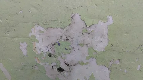 Wall paint that is peeling because the wall is damp Stockbeeldmateriaal 306206440