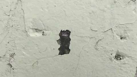 Wall paint that is peeling because the wall is damp Видео 306206666