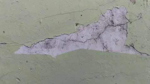 Wall paint that is peeling because the wall is damp Видео 306206796