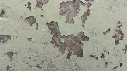 Wall paint that is peeling because the wall is damp Видео 306206800