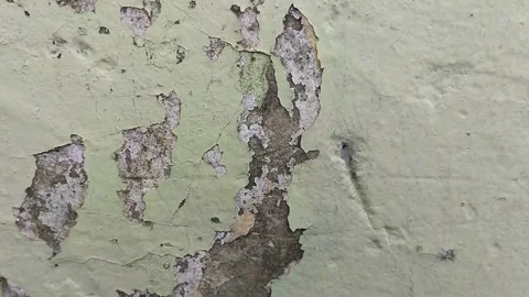 Wall paint that is peeling because the wall is damp Видео 306206804
