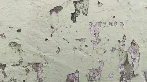 Wall paint that is peeling because the wall is damp Видео 306206806