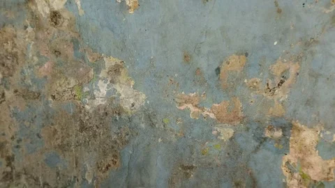 Wall paint that is peeling because the wall is damp 스톡 동영상 311494233