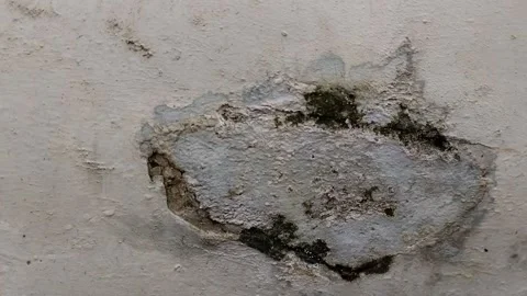 Wall paint that is peeling because the wall is damp Stock Footage 313024826