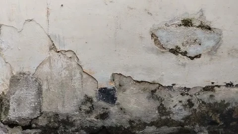 Wall paint that is peeling because the wall is damp Stock Footage 313024921