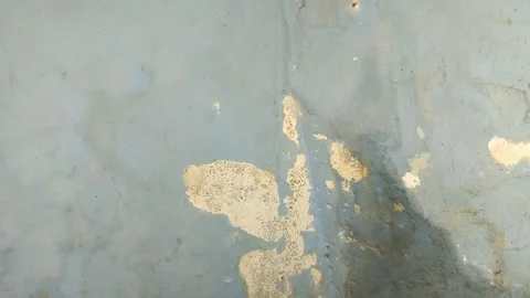 Wall paint that is peeling because the wall is damp Видео 313418523