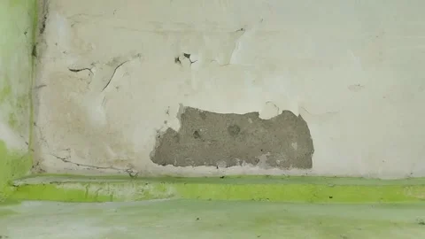 Wall paint that is peeling because the wall is damp Видео 313418524
