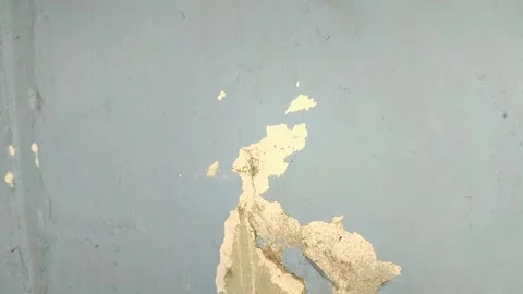 Wall paint that is peeling because the wall is damp Видео 313418570