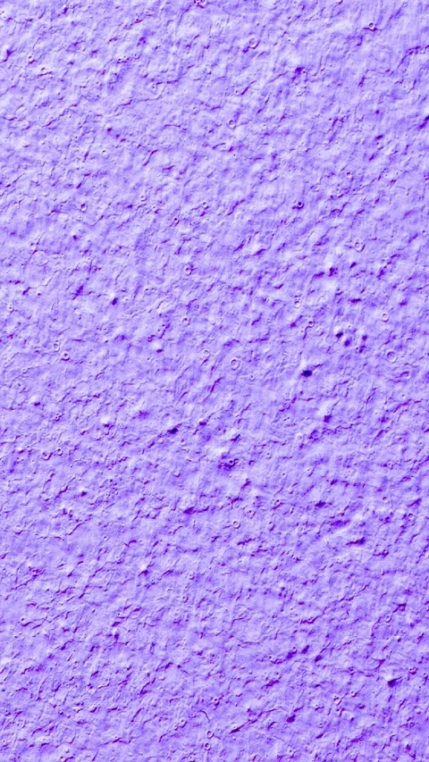 The wall is painted with purple paint with visible details Stock Footage 312698142