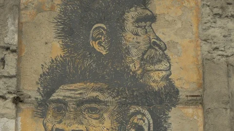 A wall painting with monkeys Stock Footage 87664375