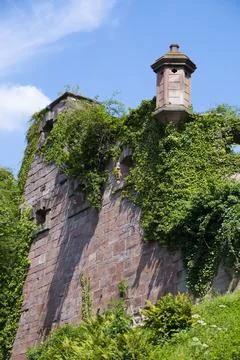 Wall of Palace From behind the trees Stock Photos
