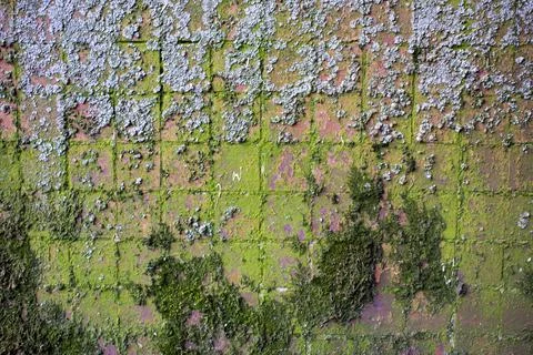 Wall panel house, covered with small mosaic tiles. Old concrete wall with mos Stock Photos