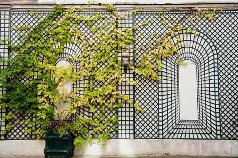 Wall in paris 스톡 사진