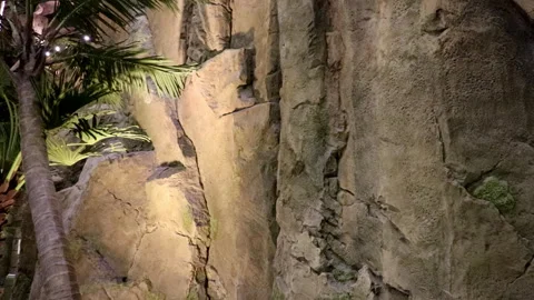 Wall in a park with palm Stock Footage 267001955