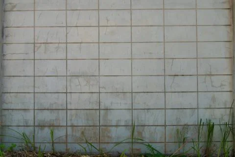 Wall pattern. Stock Photos