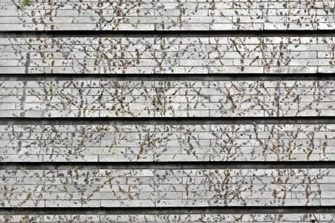 Wall with patterns Stock Photos