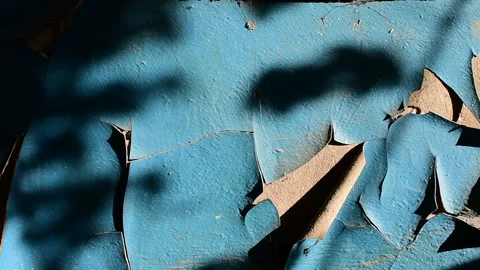Wall with peeling paint in sunlight and moving shadow from tree branches Stock Footage 138515561