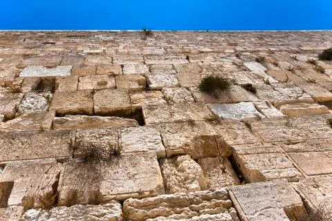 The wall Stock Photos