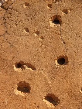 Wall Stock Photos
