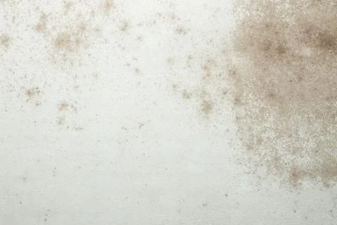 Wall Stock Photos