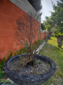 Wall Fotos de archivo