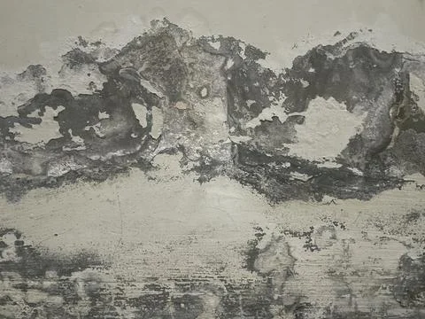 The wall Stock Photos