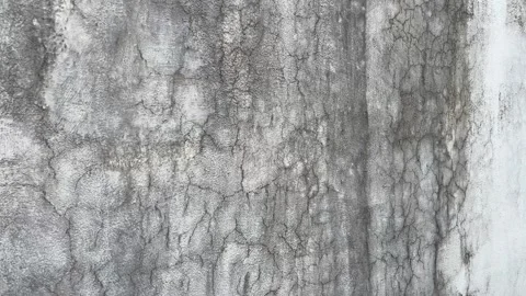 Wall Plaster Damaged Due to Rain | Cracks and Peeling Plaster on Building Wall 스톡 동영상 315625097