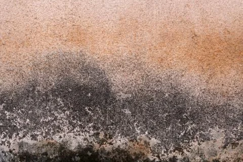 Wall plaster texture closeup in pink color. Foto stock