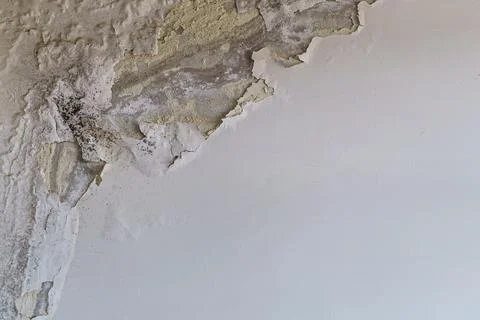 Wall with plaster will deteriorate from dampness Stock Photos