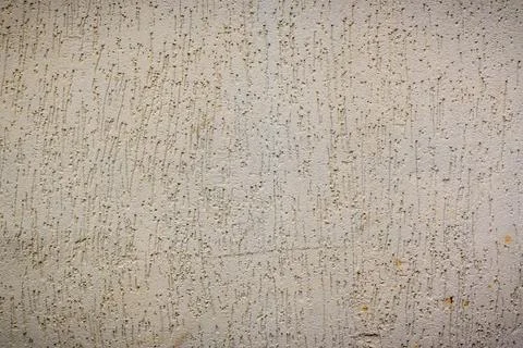 Wall plastered under bark beetle 5 Stock Photos