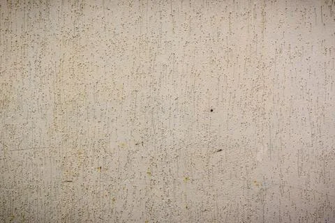 Wall plastered under bark beetle 4 Stock Photos