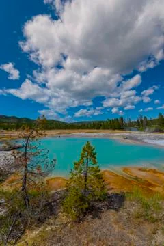 Wall pool in biscuit basin yellowstone Stock Photos