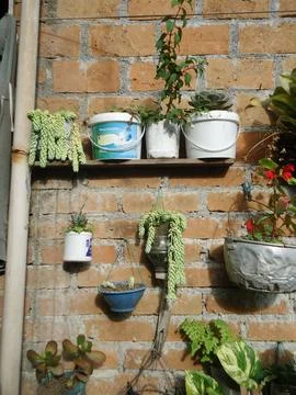 Wall with pots with different plants Foto stock