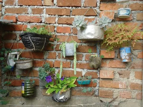 Wall with pots with different plants Stock Photos