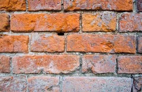 Wall with red bricks. Stock Photos