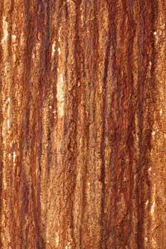 Wall with rust to use as background. Retro, abstract. Stock Photos