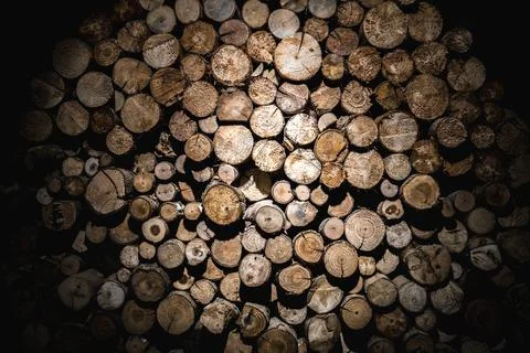 Wall of Sawed Tree trunk ends with dramatic lighting and vignette. Great for  写真素材