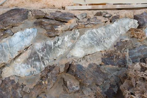 Wall section with natural geodes in it. Chebika, Tunisia Stock Photos