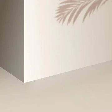 Wall with shadow palm leaf. Studio in monochrome gamma. Studio for product Illustrazione stock