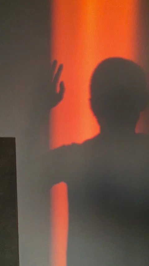 Wall with shadows of a man, nice warm sunset light. Magical picture Stock Footage 314261581