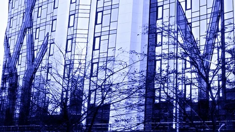 The Wall Of A Skyscraper With Close Growing Trees In Violet Tones Stock Footage 103484940