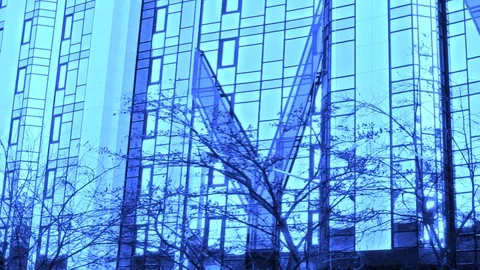 The Wall Of A Skyscraper With Close Growing Trees In Blue Tones Stock Footage 103484941