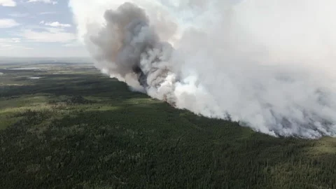 Wall of smoke from Wildfire Video stock 247482468