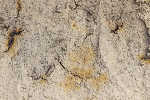Wall from soil texture Stock Photos