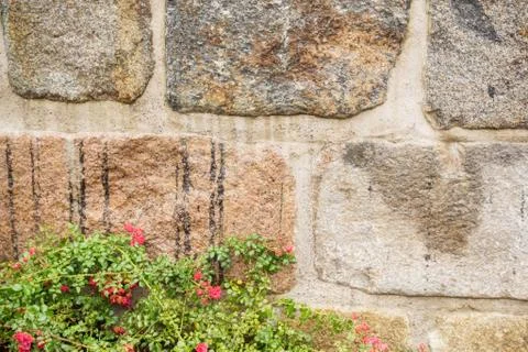 Wall of stone with flowers Stock Photos