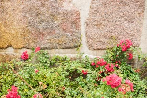 Wall of stone with flowers Stock Photos