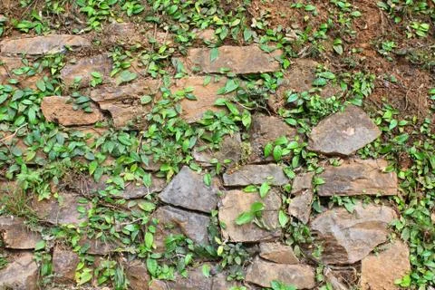 Wall of stone Stock Photos