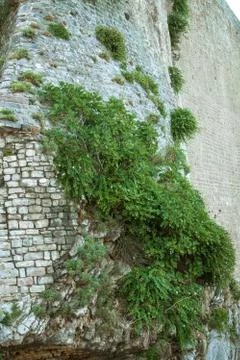 Wall stone Foto stock