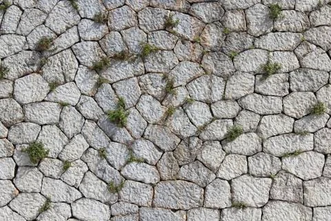 Wall stone texture Stock Photos