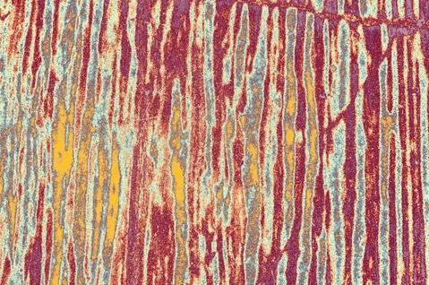 Wall surface as a background  texture pattern Illustrazione stock